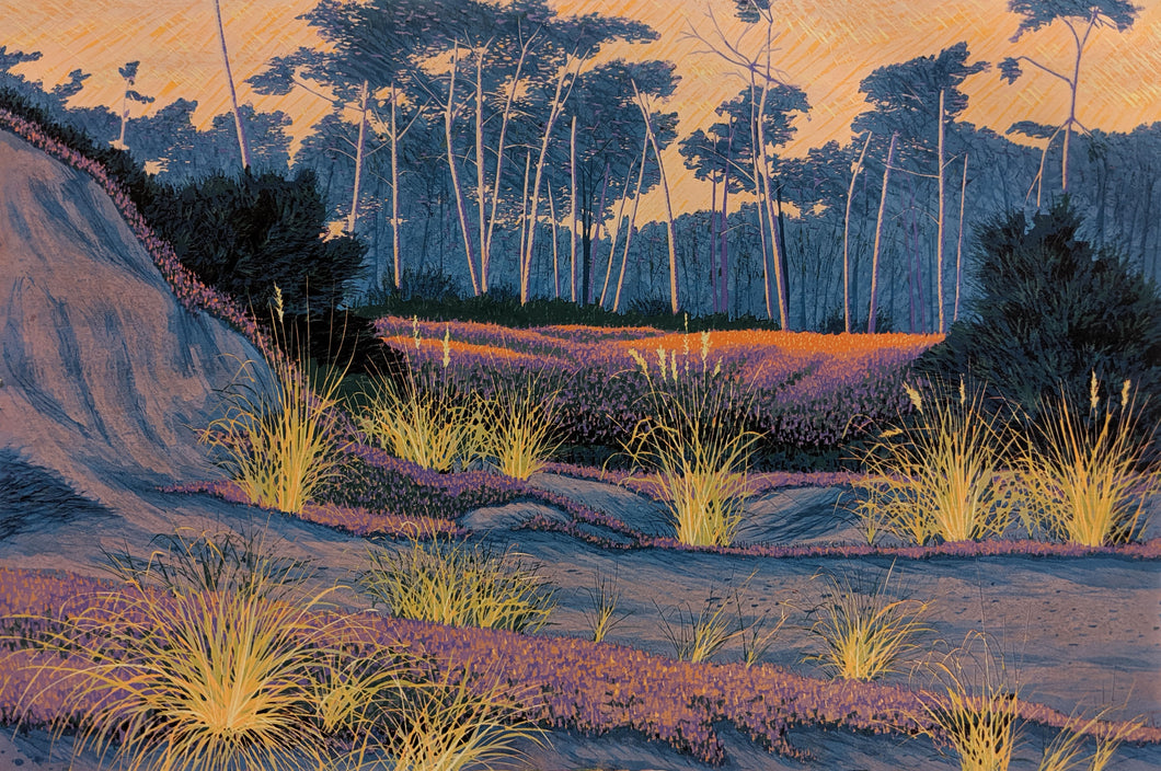 Del Monte Forest - Reduction Woodcut Print on Paper by Gordon Mortensen