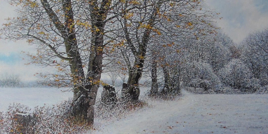 First December Snow - Roderick O'Flaherty