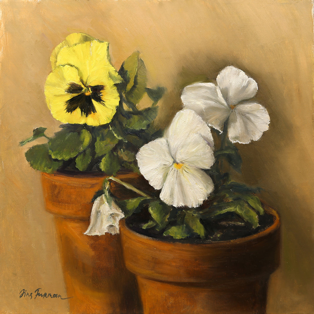 Pansies in a Pot  Irina Furman