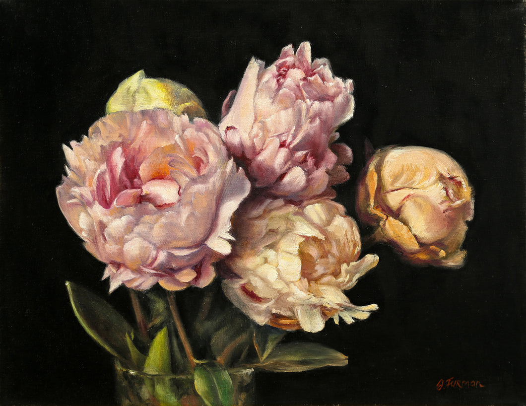 Peonies on Black Background - Irina Furman