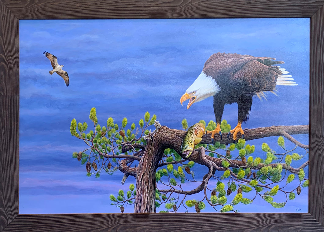 Territorial Dispute - nature scape by  Robert Cyr