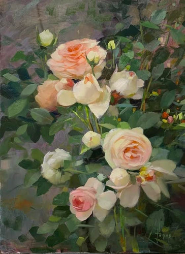 Spring Roses