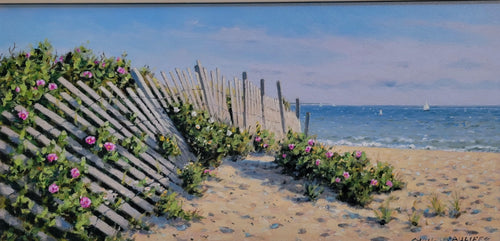 Beach Fence