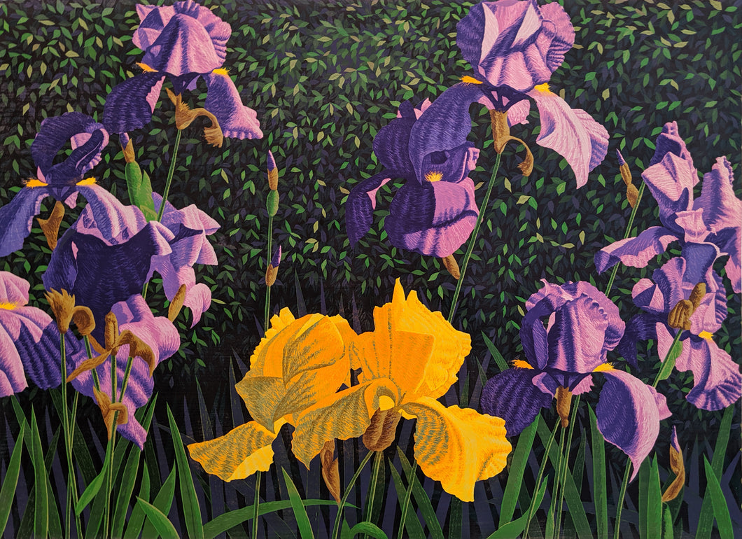 Bearded Iris - Woodcut on Paper by Gordon Mortensen