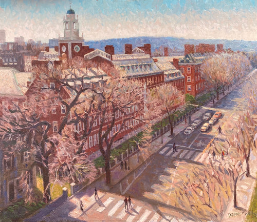 Harvard Square - Dianne Miller