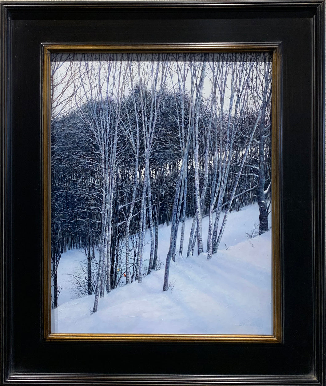 Silver Birch painting by Roderick O