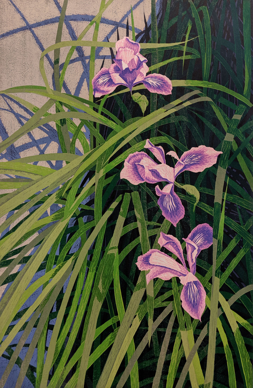 Wild Iris - Woodcut on Paper by artist Gordon Mortensen